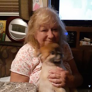 Meet your Posher, Sheila